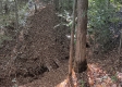 Tract 5 at The Caves at Callaway property photo
