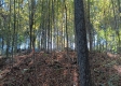 Tract 5 at The Caves at Callaway property photo