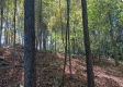Tract 5 at The Caves at Callaway property photo