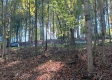 Tract 5 at The Caves at Callaway property photo