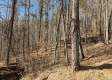 Tract 1 - The Woods at Blue Creek property photo
