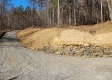 More of Tract 1 - The Woods at Blue Creek