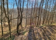 Tract 1 - The Woods at Blue Creek property photo