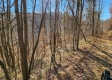 Tract 1 - The Woods at Blue Creek property photo
