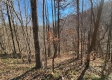 Tract 1 - The Woods at Blue Creek property photo