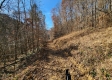 Tract 1 - The Woods at Blue Creek property photo