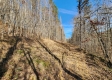 Tract 1 - The Woods at Blue Creek property photo