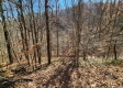 Tract 1 - The Woods at Blue Creek property photo