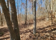 Tract 1 - The Woods at Blue Creek property photo