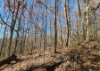 Tract 1 - The Woods at Blue Creek property photo