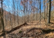 Tract 1 - The Woods at Blue Creek property photo