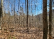 Tract 1 - The Woods at Blue Creek property photo