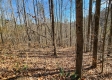 Tract 1 - The Woods at Blue Creek property photo