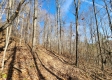 Tract 1 - The Woods at Blue Creek property photo