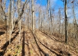 Tract 1 - The Woods at Blue Creek property photo