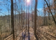 Tract 1 - The Woods at Blue Creek property photo