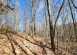 Tract 1 - The Woods at Blue Creek property photo