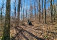 Tract 1 - The Woods at Blue Creek property photo