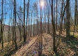Tract 1 - The Woods at Blue Creek property photo