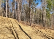 Tract 1 - The Woods at Blue Creek property photo