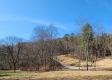 Tract 1 - The Woods at Blue Creek