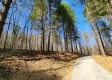 Tract 2 - The Woods at Blue Creek property photo