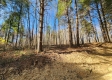 Tract 2 - The Woods at Blue Creek property photo