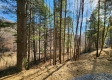Tract 2 - The Woods at Blue Creek property photo