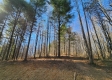 Tract 2 - The Woods at Blue Creek property photo