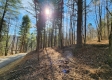 Tract 2 - The Woods at Blue Creek property photo
