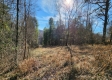 Tract 2 - The Woods at Blue Creek property photo