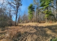 Tract 2 - The Woods at Blue Creek property photo