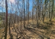 Tract 2 - The Woods at Blue Creek property photo