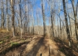 Tract 2 - The Woods at Blue Creek property photo