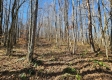 Tract 2 - The Woods at Blue Creek property photo