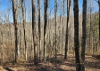 Tract 2 - The Woods at Blue Creek property photo