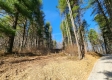 More of Tract 2 - The Woods at Blue Creek