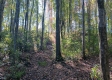 Tract 4 at The Caves at Callaway property photo
