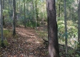 Tract 4 at The Caves at Callaway property photo