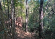 Tract 4 at The Caves at Callaway property photo