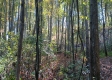 Tract 4 at The Caves at Callaway property photo
