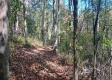 Tract 4 at The Caves at Callaway property photo