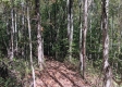 Tract 4 at The Caves at Callaway property photo