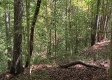 Tract 4 at The Caves at Callaway property photo