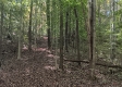 Tract 4 at The Caves at Callaway property photo