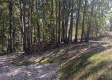 Tract 4 at The Caves at Callaway property photo