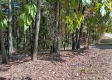 More of Tract 4 at The Caves at Callaway