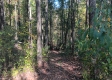 Tract 4 at The Caves at Callaway property photo