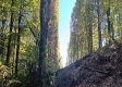 Tract 4 at The Caves at Callaway property photo