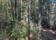 Tract 4 at The Caves at Callaway property photo